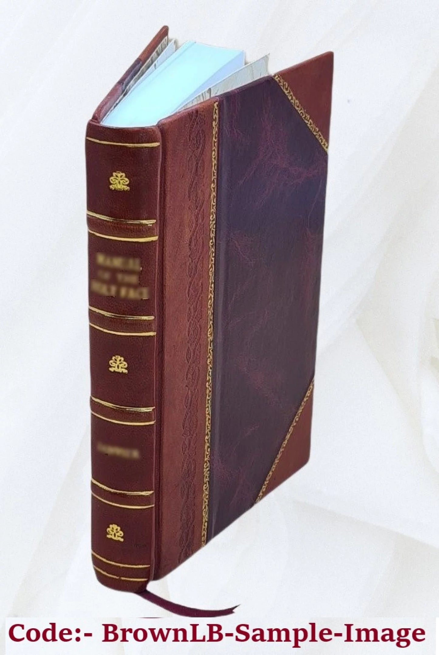 [Collection of nineteenth century British divorce proceedings. Volume v.0003 1824 [Leather Bound]